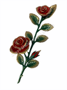 BJ-1550DR Bronze red roses