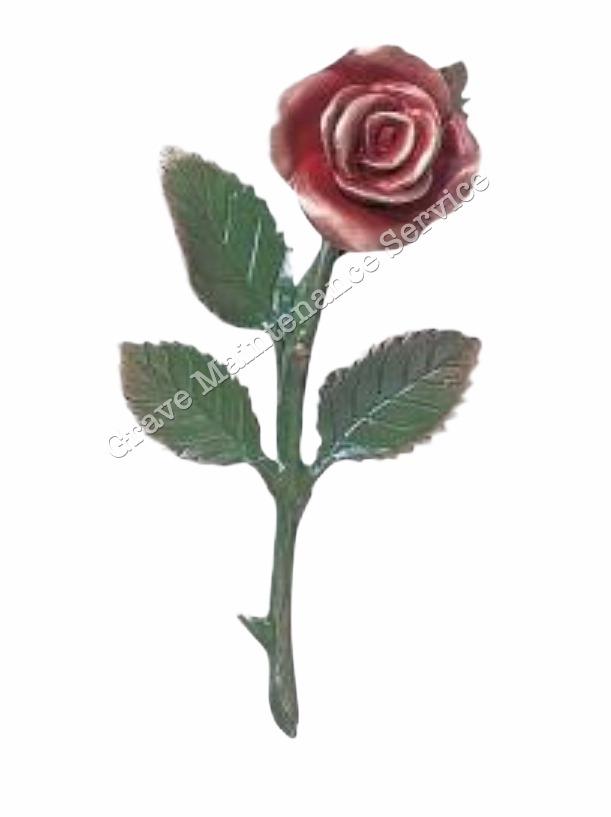 [BJ-1552DR] Bronze red roses